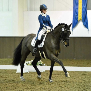 Dressage rider, Sophie Quarterman