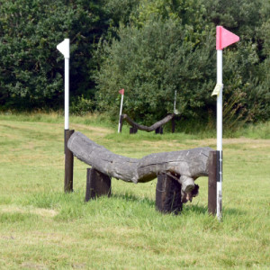 Hanging logs